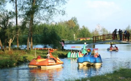Uniknya Danau Belibis di pesisir Aceh Singkil