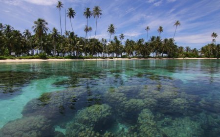 Ini Tempat Snorkeling Asyik di Pulau Banyak
