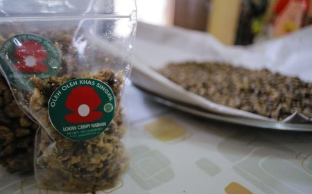 Gurihnya Lokan Badaruk Kuliner Khas Asal Singkil