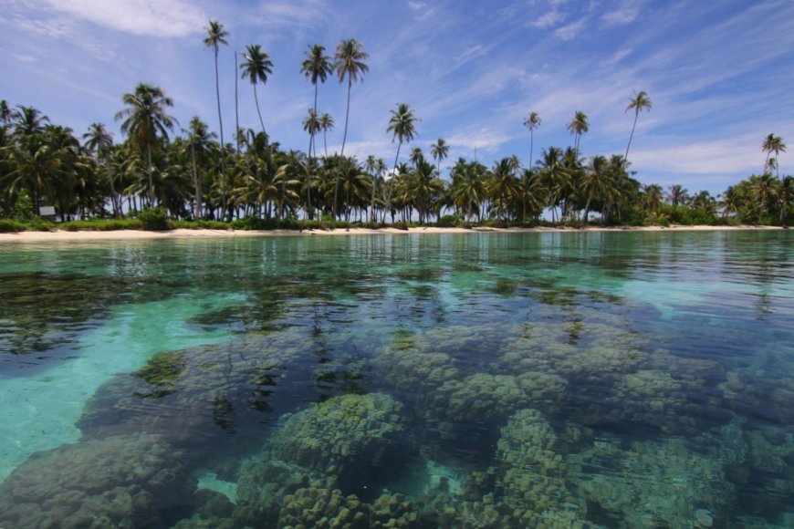 Ini Tempat Snorkeling Asyik di Pulau Banyak