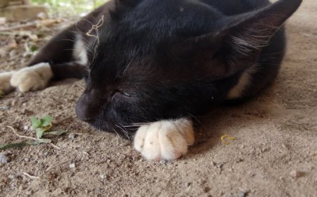 Motivation For Boring Life