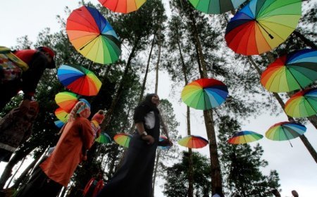 Objek Wisata Selfi Gunung Salak di Aceh Utara