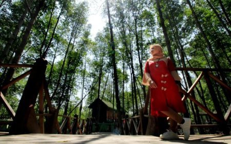Keindahan Wisata Alam Hutan Mangrove di Kota Langsa