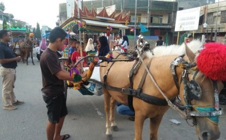 Keliling Kota Krueng Geukuh dengan Dokar Solok