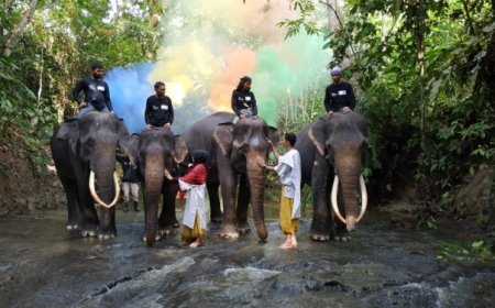 Ekowisata Gajah, Objek Wisata Baru di Pedalaman Aceh Utara
