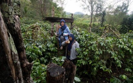 Sensasi Menikmati Kopi di Ladang Kopi